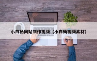 肇东小白杨网站制作视频（小白杨视频素材）